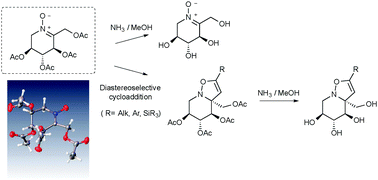 Graphical abstract: Short synthesis, X-ray and conformational analysis of a cyclic peracetylated l-sorbose-derived nitrone, a useful intermediate towards N–O-containing d-gluco-iminosugars
