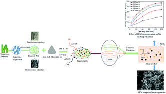 Graphical abstract: Kinetics of manganese leaching from an iron-rich manganese dioxide ore with bagasse pith as a reductant