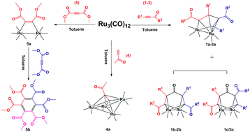 Graphical abstract: Unexpected formation and conversion: role of substituents of 1,3-ynones in the reactivity and product distribution during their reactions with Ru3(CO)12