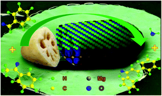 Graphical abstract: Graphene-induced hierarchical mesoporous MgO for the Claisen–Schmidt condensation reaction