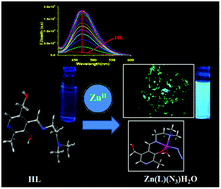 Graphical abstract: Crystal structure, spectroscopic, DNA binding studies and DFT calculations of a Zn(ii) complex
