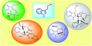 Graphical abstract: Tryptophol and derivatives: natural occurrence and applications to the synthesis of bioactive compounds