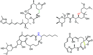Graphical abstract: Michael additions in polyketide biosynthesis