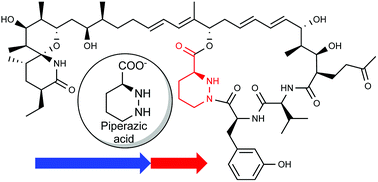 Graphical abstract: Piperazic acid-containing natural products: structures and biosynthesis