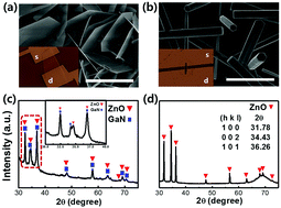 Graphical abstract: Ultrahigh photosensitivity of the polar surfaces of single crystalline ZnO nanoplates