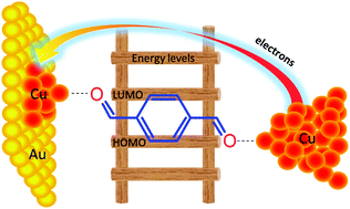 Graphical abstract: Precise tuning of single molecule conductance in an electrochemical environment