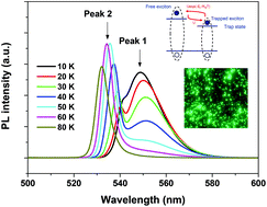 Graphical abstract: Luminescence and thermal behaviors of free and trapped excitons in cesium lead halide perovskite nanosheets