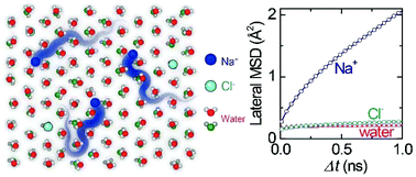 Graphical abstract: Anomalous cation diffusion in salt-doped confined bilayer ice