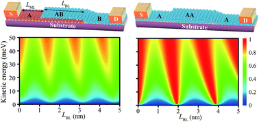 Graphical abstract: Quantum oscillation in carrier transport in two-dimensional junctions