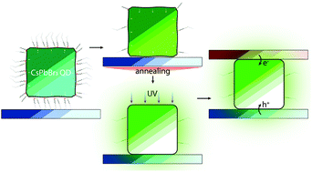 Graphical abstract: Ligand removal and photo-activation of CsPbBr3 quantum dots for enhanced optoelectronic devices