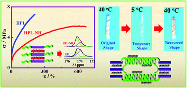 Graphical abstract: Biodegradable toughened nanohybrid shape memory polymer for smart biomedical applications