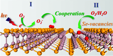 Graphical abstract: Effect of illumination and Se vacancies on fast oxidation of ultrathin gallium selenide