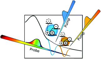 Graphical abstract: Disentangling size effects and spectral inhomogeneity in carbon nanodots by ultrafast dynamical hole-burning