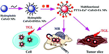 Graphical abstract: Construction of a multifunctional nanoprobe for tumor-targeted time-gated luminescence and magnetic resonance imaging in vitro and in vivo