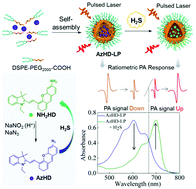 Graphical abstract: Ratiometric photoacoustic nanoprobes for monitoring and imaging of hydrogen sulfide in vivo