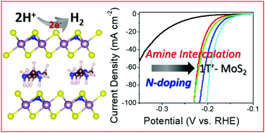 Graphical abstract: Nitrogen-rich 1T′-MoS2 layered nanostructures using alkyl amines for high catalytic performance toward hydrogen evolution