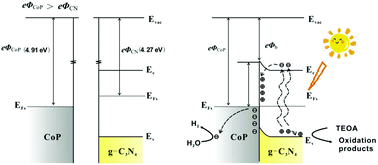 Graphical abstract: Enhanced Schottky effect of a 2D–2D CoP/g-C3N4 interface for boosting photocatalytic H2 evolution