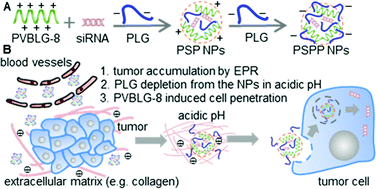 Graphical abstract: Systemic siRNA delivery to tumors by cell-penetrating α-helical polypeptide-based metastable nanoparticles