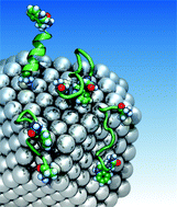 Graphical abstract: Effect of nanosilver surfaces on peptide reactivity towards reactive oxygen species