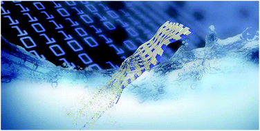 Graphical abstract: Transient and flexible polymer memristors utilizing full-solution processed polymer nanocomposites