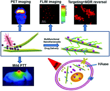 Graphical abstract: Recent advances in the field of transition metal dichalcogenides for biomedical applications