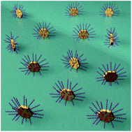 Graphical abstract: Plasmonic and sensing properties of vertically oriented hexagonal gold nanoplates