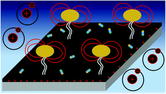 Graphical abstract: Exploiting the signatures of nanoplasmon–exciton coupling on proton sensitive insulator–semiconductor devices for drug discovery applications