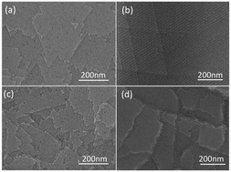 Graphical abstract: Au nanocrystal superlattices: nanocrystallinity, vicinal surfaces, and growth processes