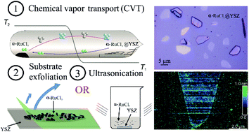 Graphical abstract: Chemical vapor growth and delamination of α-RuCl3 nanosheets down to the monolayer limit
