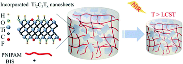 Graphical abstract: Ti2C3Tx nanosheets as photothermal agents for near-infrared responsive hydrogels