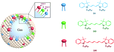 Graphical abstract: Multicolor nanobubbles for FRET/ultrasound dual-modal contrast imaging