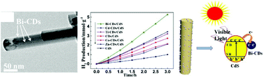 Graphical abstract: Novel metal doped carbon quantum dots/CdS composites for efficient photocatalytic hydrogen evolution