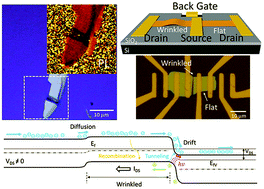 Graphical abstract: Strain in a single wrinkle on an MoS2 flake for in-plane realignment of band structure for enhanced photo-response