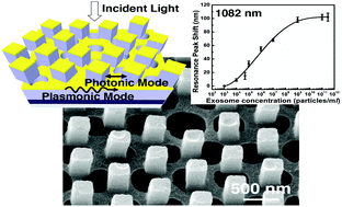 Graphical abstract: Highly sensitive detection of exosomes by 3D plasmonic photonic crystal biosensor