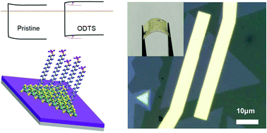 Graphical abstract: Surface functionalization-induced photoresponse characteristics of monolayer MoS2 for fast flexible photodetectors