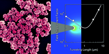 Graphical abstract: High-performance field emission based on nanostructured tin selenide for nanoscale vacuum transistors