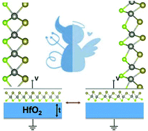 Graphical abstract: Janus monolayer of WSeTe, a new structural phase transition material driven by electrostatic gating