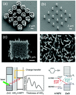 Graphical abstract: Direct observation of quantum tunnelling charge transfers between molecules and semiconductors for SERS