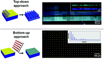 Graphical abstract: Fabrication of diffraction gratings by top-down and bottom-up approaches based on scanning probe lithography