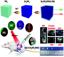 Graphical abstract: SnxWO3 as a theranostic platform for realizing multi-imaging-guided photothermal/photodynamic combination therapy
