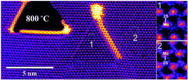 Graphical abstract: In situ high temperature atomic level dynamics of large inversion domain formations in monolayer MoS2