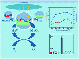 Graphical abstract: Tailoring pore structures with optimal mesopores to remarkably promote DNA adsorption guiding the growth of active Mn3(PO4)2 toward sensitive superoxide biomimetic enzyme sensors