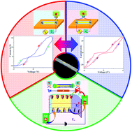 Graphical abstract: Tunable hysteresis behaviour related to trap filling dependence of surface barrier in an individual CH3NH3PbI3 micro/nanowire