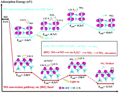 Graphical abstract: Facet-dependent photocatalytic NO conversion pathways predetermined by adsorption activation patterns