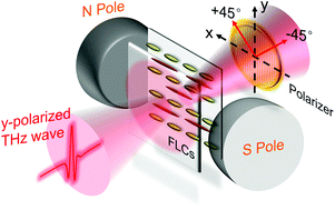 Graphical abstract: Manipulation enhancement of terahertz liquid crystal phase shifter magnetically induced by ferromagnetic nanoparticles