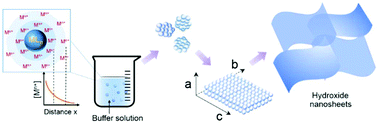 Graphical abstract: A general strategy for facile synthesis of ultrathin transition metal hydroxide nanosheets