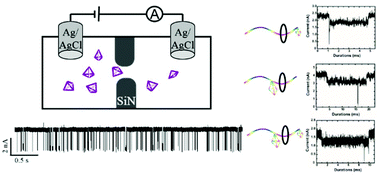 Graphical abstract: Translocation of tetrahedral DNA nanostructures through a solid-state nanopore
