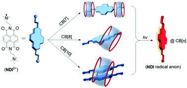 Graphical abstract: Effects of cucurbit[n]uril (n = 7, 8, 10) hosts on the formation and stabilization of a naphthalenediimide (NDI) radical anion