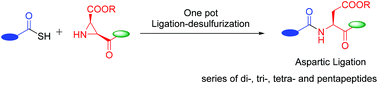 Graphical abstract: Aziridine based electrophilic handle for aspartic acid ligation