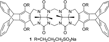 Graphical abstract: A glycoluril dimer–triptycene hybrid receptor: synthesis and molecular recognition properties